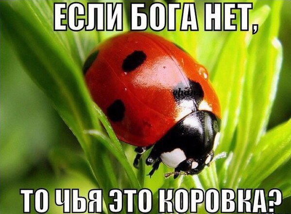 мемы про атеистов (5)