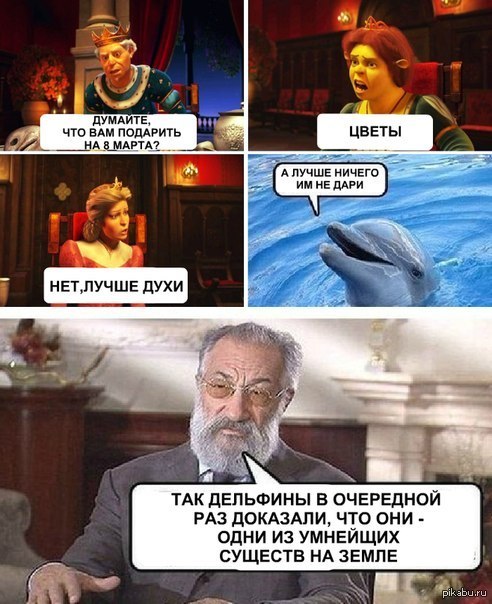 мемы про дельфинов