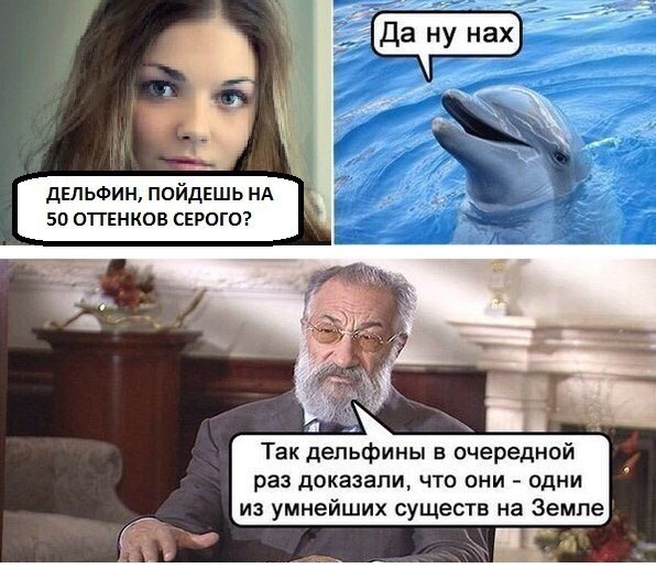 мемы про дельфинов