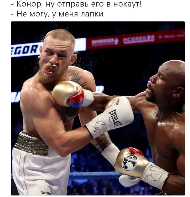 мемы про макгрегора и мейвезера (23)