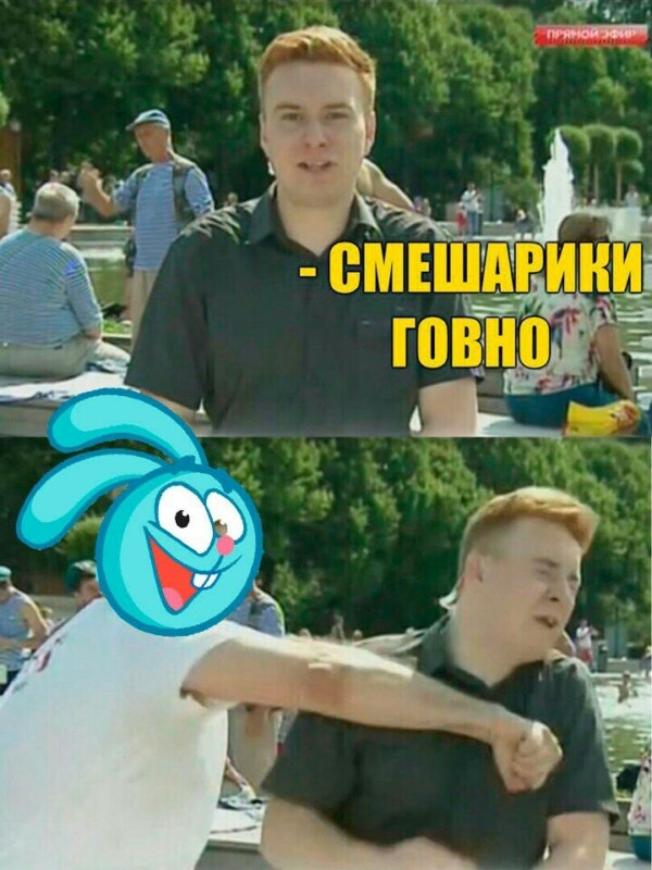 мемы со смешариками (1)