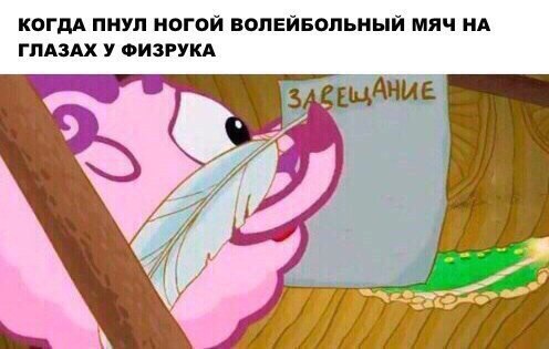 мемы со смешариками (11)