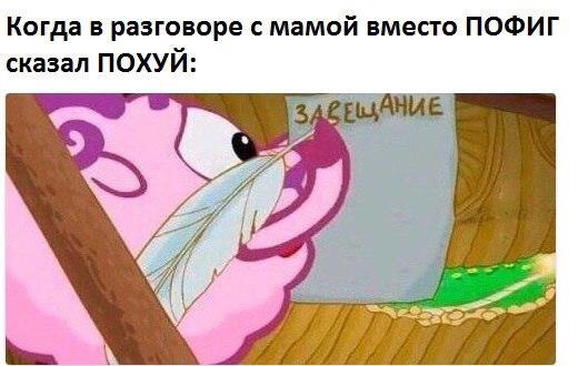 мемы со смешариками (13)