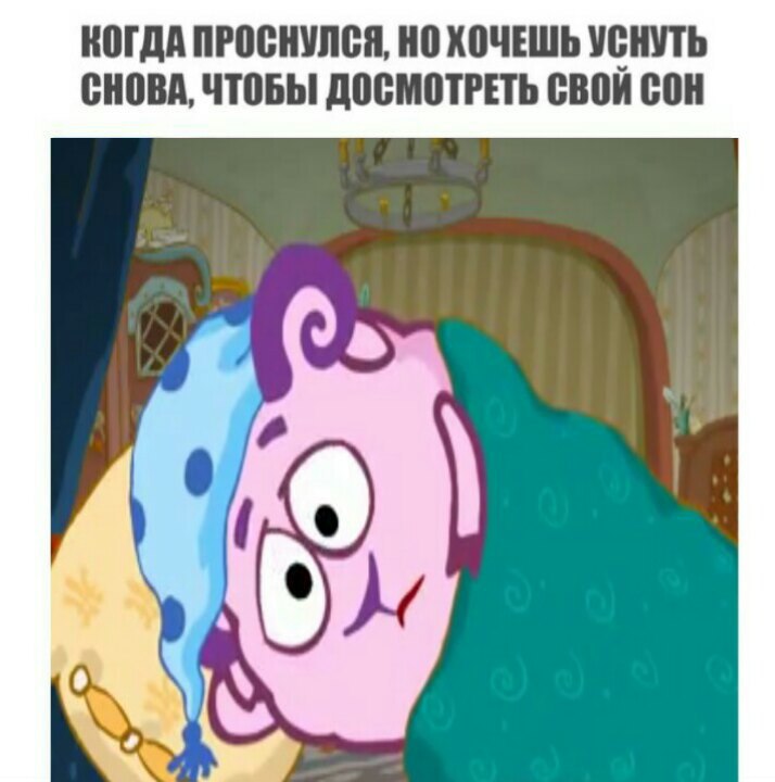 мемы со смешариками (8)