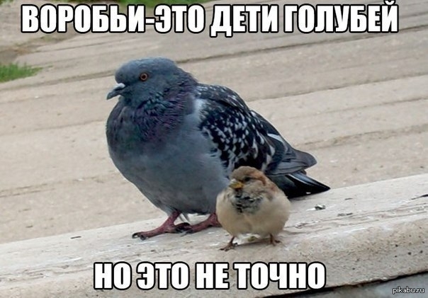 но это не точно мем
