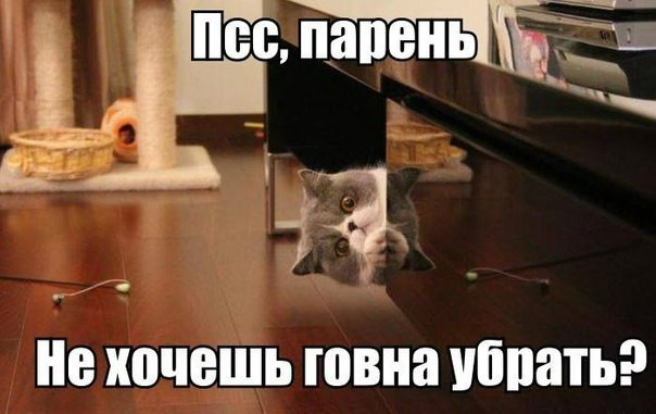 псс парень (1)