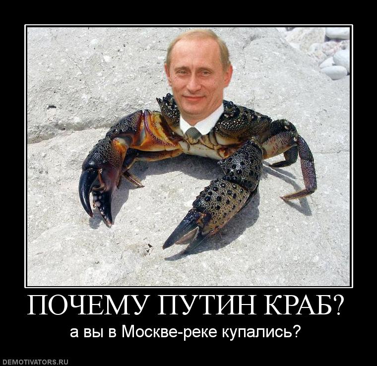 путин краб (2)