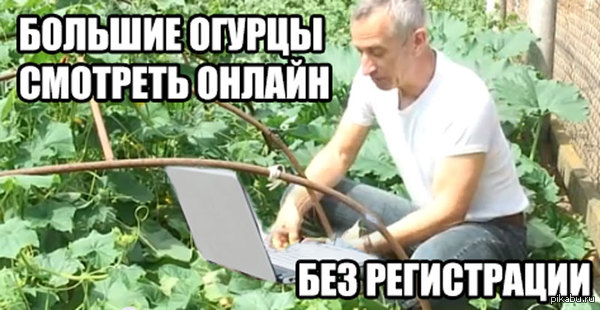 сила огурца