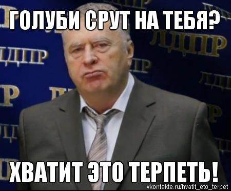 хватит это терпеть (3)