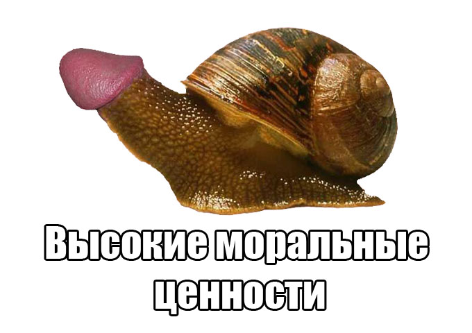 хуитка