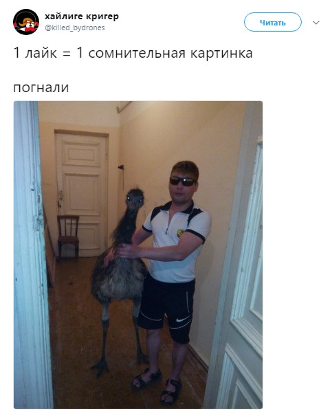 1 лайк 1 факт (13)