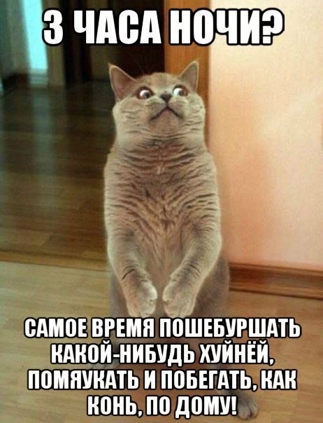 Мемы про три часа ночи, я в три часа ночи, я в 3 часа ночи, в 3 часа ночи, в 3 часа ночи мемы, в 3 часа ночи картинки, в 3 часа ночи шутки, мемы про 3:00, 3:00 мемы, мемы про бессонницу, мемы про ночь, ночное безделие, когда страдаешь фигней ночью