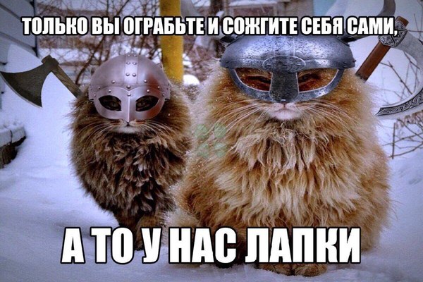 реклама эльдорадо у меня лапки, реклама эльдорадо кот у меня лапки, реклама у меня лапки, у меня лапки видео, у нас лапки, не будет делать у нас лапки, сделай сам у меня лапки, покатай у меня лапки, не могу ничего делать у меня лапки, Не могу у меня лапки, не могу лапки, лапки, мем про лапки, лапки котика, что за мем с лапками котика, что за мем про лапки, откуда взялось не могу у меня лапки, шутки про лапки, что значит не могу у меня лапки, картинки про лапки, шутки про лапки, фраза у меня лапки происхождение, происхождение мема у меня лапки, что значит у меня лапки, почему пишут у меня лапки, почему говорят у меня лапки, почему говорят не могу сделать у меня лапки
