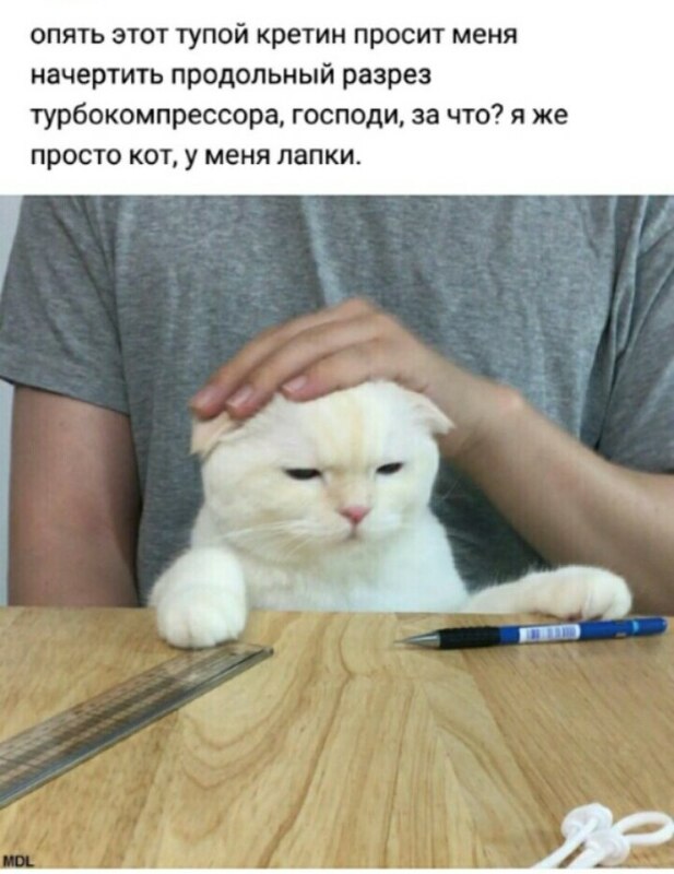 реклама эльдорадо у меня лапки, реклама эльдорадо кот у меня лапки, реклама у меня лапки, у меня лапки видео, у нас лапки, не будет делать у нас лапки, сделай сам у меня лапки, покатай у меня лапки, не могу ничего делать у меня лапки, Не могу у меня лапки, не могу лапки, лапки, мем про лапки, лапки котика, что за мем с лапками котика, что за мем про лапки, откуда взялось не могу у меня лапки, шутки про лапки, что значит не могу у меня лапки, картинки про лапки, шутки про лапки, фраза у меня лапки происхождение, происхождение мема у меня лапки, что значит у меня лапки, почему пишут у меня лапки, почему говорят у меня лапки, почему говорят не могу сделать у меня лапки