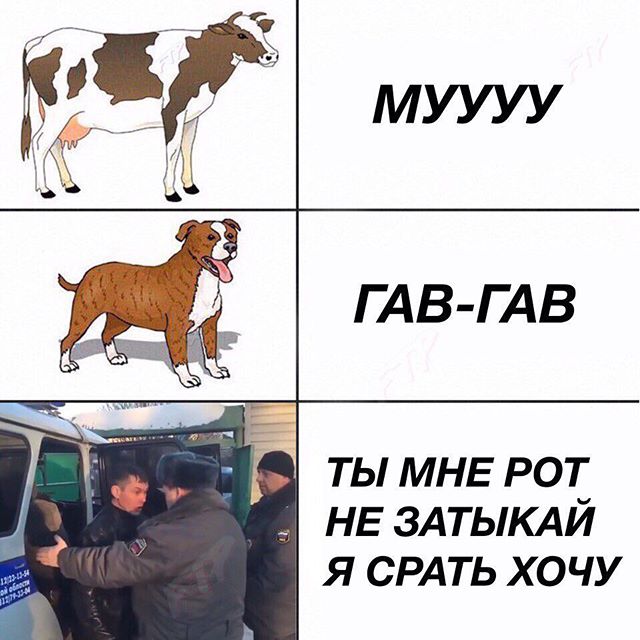 Коровка муууу собачка гав-гав, Коровка говорит му-му собачка говорит гав-гав, как говорят животные, звуки животных, как говорят животные мем, мем как говорят животные, мем звуки животных, комикс с животными