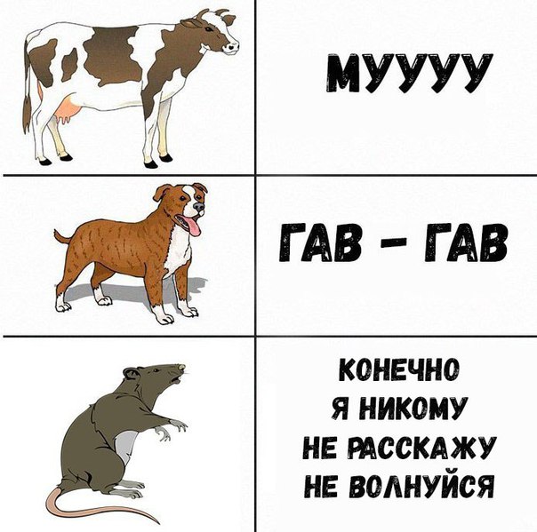 https://m.pikabu.ru/story/kakie_zvuki_izdayut_zhivotnyie_5199671