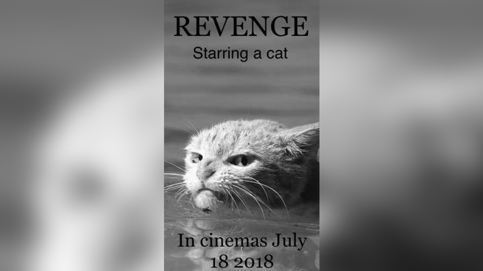 5c1c4c3a3be6c2462411169e7d41f60d__980x