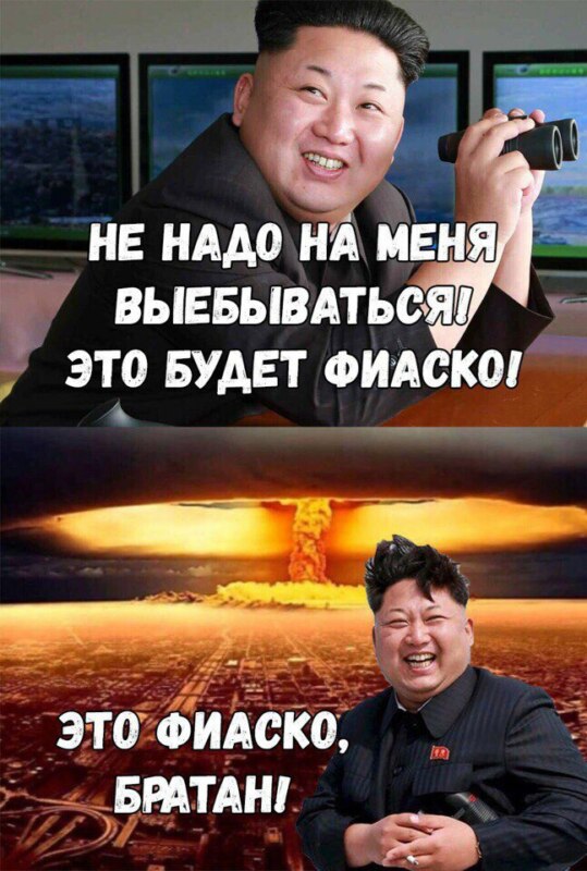 Это фиаско братан, Это фиаско братан мем, мем Это фиаско братан, Это фиаско братан видео, видео Это фиаско братан, собака падает в воду, собака падает в воду видео, сиба-ину видео, видео сиба-ину, шиба-ину видео, видео шиба-ину