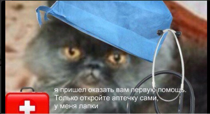у нас лапки, не будет делать у нас лапки, сделай сам у меня лапки, покатай у меня лапки, не могу ничего делать у меня лапки, Не могу у меня лапки, не могу лапки, лапки, мем про лапки, лапки котика, что за мем с лапками котика, что за мем про лапки, откуда взялось не могу у меня лапки, шутки про лапки, что значит не могу у меня лапки, картинки про лапки, шутки про лапки