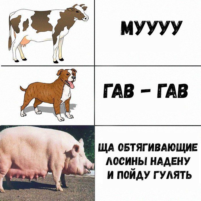 https://m.pikabu.ru/story/kakie_zvuki_izdayut_zhivotnyie_5199671