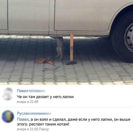 реклама эльдорадо у меня лапки, реклама эльдорадо кот у меня лапки, реклама у меня лапки, у меня лапки видео, у нас лапки, не будет делать у нас лапки, сделай сам у меня лапки, покатай у меня лапки, не могу ничего делать у меня лапки, Не могу у меня лапки, не могу лапки, лапки, мем про лапки, лапки котика, что за мем с лапками котика, что за мем про лапки, откуда взялось не могу у меня лапки, шутки про лапки, что значит не могу у меня лапки, картинки про лапки, шутки про лапки, фраза у меня лапки происхождение, происхождение мема у меня лапки, что значит у меня лапки, почему пишут у меня лапки, почему говорят у меня лапки, почему говорят не могу сделать у меня лапки