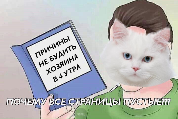 MH9GF1ySx8A
