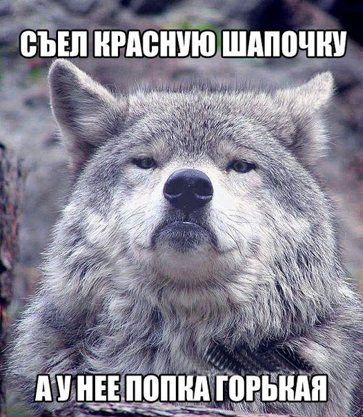 Мем гордый волк, волк на все случаи жизни, волк поднял голову, мем с волком, картинка с волком, волк укусил за бочок, крутой волк мем, мем крутой волк, мем гордый волк, гордый волк мем, мемы с волком, волк мем, мем волк, мемы с волками, волк в очках мем, мем волк на все случаи жизни, волк на все случаи жизни мем, откуда мем с гордым волком, мем гордый волк происхождение