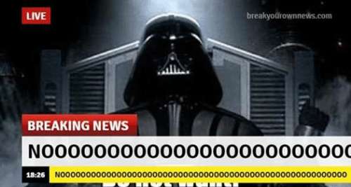 breaking news с животными мем (2)