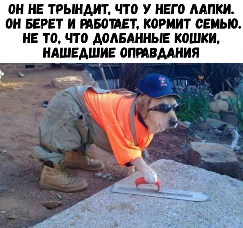 реклама эльдорадо у меня лапки, реклама эльдорадо кот у меня лапки, реклама у меня лапки, у меня лапки видео, у нас лапки, не будет делать у нас лапки, сделай сам у меня лапки, покатай у меня лапки, не могу ничего делать у меня лапки, Не могу у меня лапки, не могу лапки, лапки, мем про лапки, лапки котика, что за мем с лапками котика, что за мем про лапки, откуда взялось не могу у меня лапки, шутки про лапки, что значит не могу у меня лапки, картинки про лапки, шутки про лапки, фраза у меня лапки происхождение, происхождение мема у меня лапки, что значит у меня лапки, почему пишут у меня лапки, почему говорят у меня лапки, почему говорят не могу сделать у меня лапки