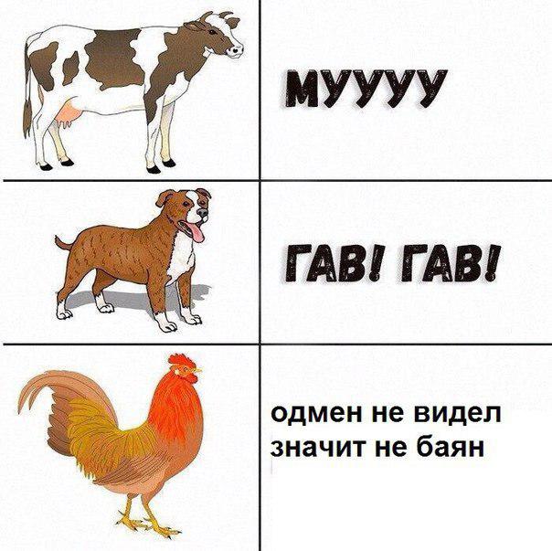 https://m.pikabu.ru/story/kakie_zvuki_izdayut_zhivotnyie_5199671