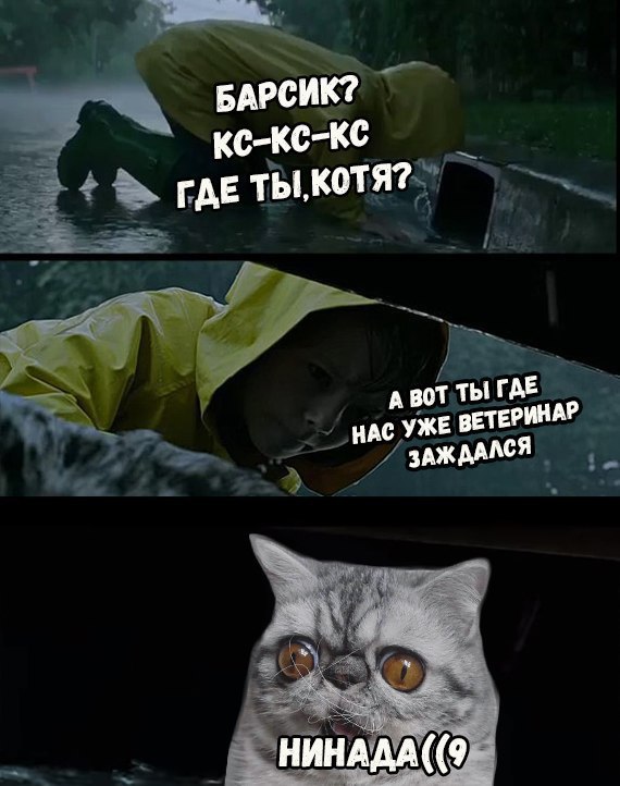 кот герман и оно