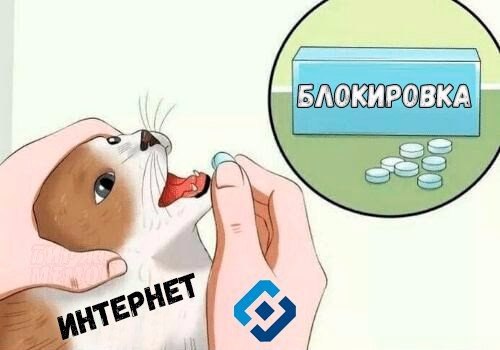 кот с таблетками мем (1)