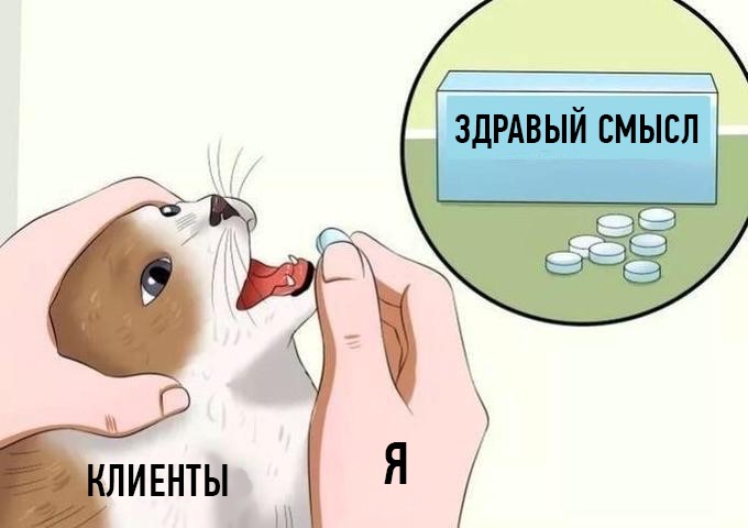 кот с таблетками мем (2)