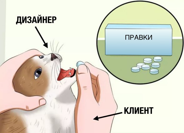 кот с таблетками мем (3)