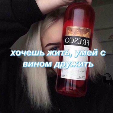 кто такие винишко (19)
