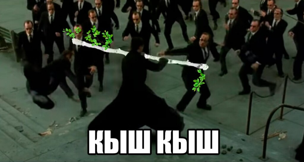 кыш-кыш, кыш-кыш фотожабы, мемы кыш-кыш, дроздов кыш-кыш, дроздов про лося, лось и дроздов, лось в москве 15 сентября, лось в выхино, лось в выхино 15 сентября, дроздов про лося, дроздов николай, николай дроздов, фотожабы, смешные фотожабы