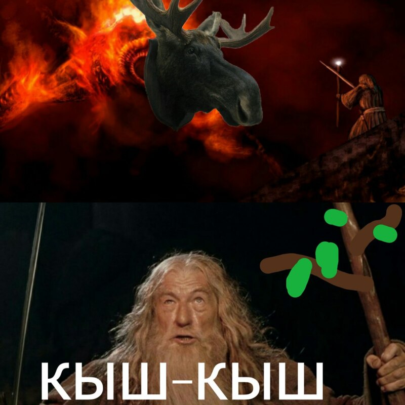 кыш-кыш, кыш-кыш фотожабы, мемы кыш-кыш, дроздов кыш-кыш, дроздов про лося, лось и дроздов, лось в москве 15 сентября, лось в выхино, лось в выхино 15 сентября, дроздов про лося, дроздов николай, николай дроздов, фотожабы, смешные фотожабы