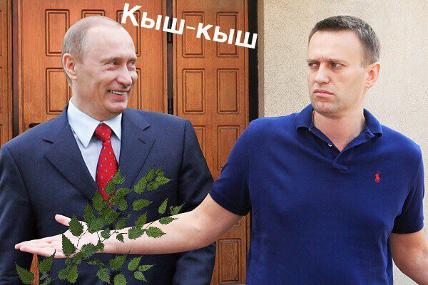 кыш-кыш, кыш-кыш фотожабы, мемы кыш-кыш, дроздов кыш-кыш, дроздов про лося, лось и дроздов, лось в москве 15 сентября, лось в выхино, лось в выхино 15 сентября, дроздов про лося, дроздов николай, николай дроздов, фотожабы, смешные фотожабы