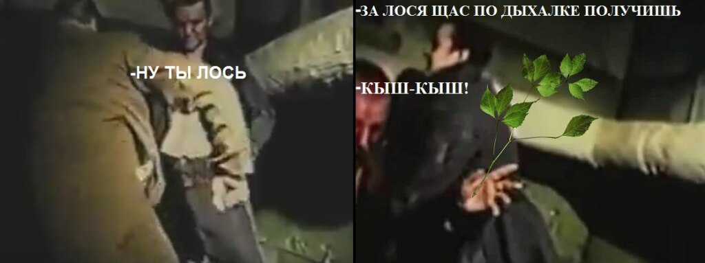 кыш-кыш, кыш-кыш фотожабы, мемы кыш-кыш, дроздов кыш-кыш, дроздов про лося, лось и дроздов, лось в москве 15 сентября, лось в выхино, лось в выхино 15 сентября, дроздов про лося, дроздов николай, николай дроздов, фотожабы, смешные фотожабы