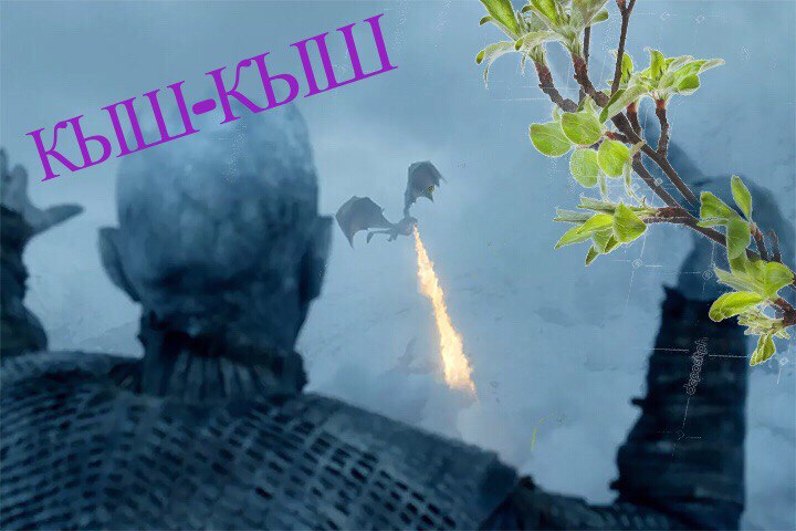 кыш-кыш, кыш-кыш фотожабы, мемы кыш-кыш, дроздов кыш-кыш, дроздов про лося, лось и дроздов, лось в москве 15 сентября, лось в выхино, лось в выхино 15 сентября, дроздов про лося, дроздов николай, николай дроздов, фотожабы, смешные фотожабы