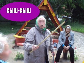 кыш-кыш, кыш-кыш фотожабы, мемы кыш-кыш, дроздов кыш-кыш, дроздов про лося, лось и дроздов, лось в москве 15 сентября, лось в выхино, лось в выхино 15 сентября, дроздов про лося, дроздов николай, николай дроздов, фотожабы, смешные фотожабы