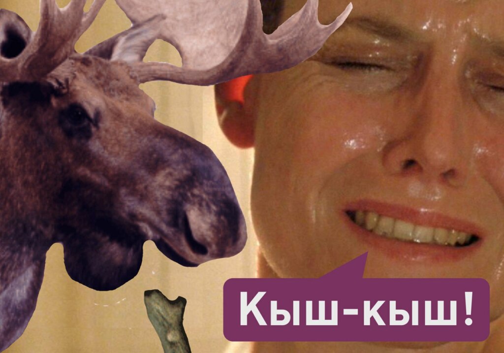 кыш-кыш, кыш-кыш фотожабы, мемы кыш-кыш, дроздов кыш-кыш, дроздов про лося, лось и дроздов, лось в москве 15 сентября, лось в выхино, лось в выхино 15 сентября, дроздов про лося, дроздов николай, николай дроздов, фотожабы, смешные фотожабы