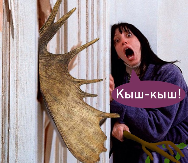 кыш-кыш, кыш-кыш фотожабы, мемы кыш-кыш, дроздов кыш-кыш, дроздов про лося, лось и дроздов, лось в москве 15 сентября, лось в выхино, лось в выхино 15 сентября, дроздов про лося, дроздов николай, николай дроздов, фотожабы, смешные фотожабы