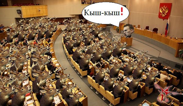 кыш-кыш, кыш-кыш фотожабы, мемы кыш-кыш, дроздов кыш-кыш, дроздов про лося, лось и дроздов, лось в москве 15 сентября, лось в выхино, лось в выхино 15 сентября, дроздов про лося, дроздов николай, николай дроздов, фотожабы, смешные фотожабы