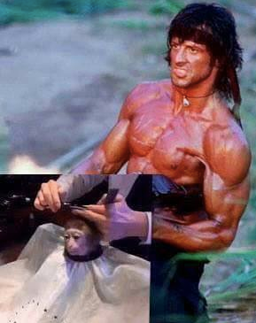 Обезьяна в парикмахерской, Monkey Haircut, обезьяна в парикмахерской мем, мем обезьяна в парикмахерской, обезьяна в парикмахерской видео. видео обезьяна в парикмахерской, обезьяна в салоне мем, мем обезьяна в салоне, обезьяна в салоне видео, видео обезьяна в салоне, обезьяна с прической, обезьяне делают прическу, мартышка в парикмахерской, обезьянка в парикмахерской