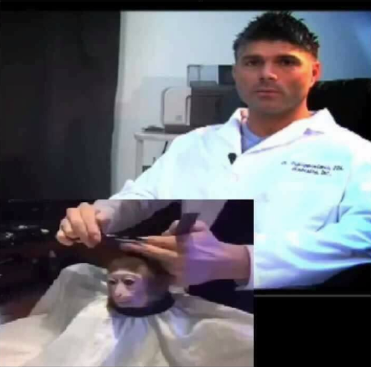 Обезьяна в парикмахерской, Monkey Haircut, обезьяна в парикмахерской мем, мем обезьяна в парикмахерской, обезьяна в парикмахерской видео. видео обезьяна в парикмахерской, обезьяна в салоне мем, мем обезьяна в салоне, обезьяна в салоне видео, видео обезьяна в салоне, обезьяна с прической, обезьяне делают прическу, мартышка в парикмахерской, обезьянка в парикмахерской