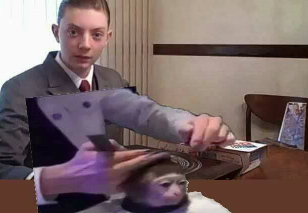 Обезьяна в парикмахерской, Monkey Haircut, обезьяна в парикмахерской мем, мем обезьяна в парикмахерской, обезьяна в парикмахерской видео. видео обезьяна в парикмахерской, обезьяна в салоне мем, мем обезьяна в салоне, обезьяна в салоне видео, видео обезьяна в салоне, обезьяна с прической, обезьяне делают прическу, мартышка в парикмахерской, обезьянка в парикмахерской