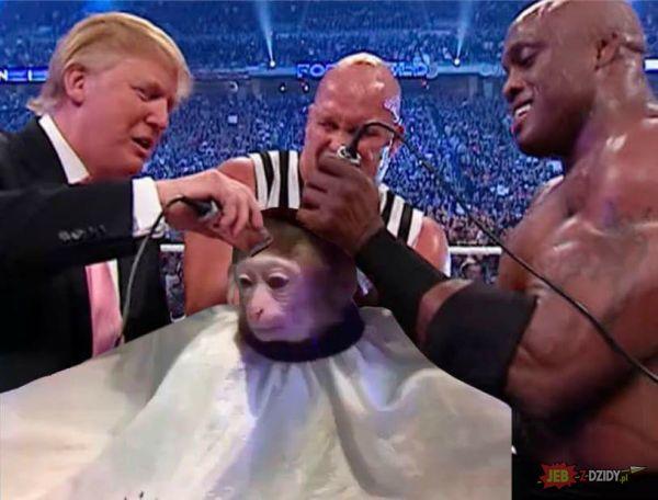 Обезьяна в парикмахерской, Monkey Haircut, обезьяна в парикмахерской мем, мем обезьяна в парикмахерской, обезьяна в парикмахерской видео. видео обезьяна в парикмахерской, обезьяна в салоне мем, мем обезьяна в салоне, обезьяна в салоне видео, видео обезьяна в салоне, обезьяна с прической, обезьяне делают прическу, мартышка в парикмахерской, обезьянка в парикмахерской