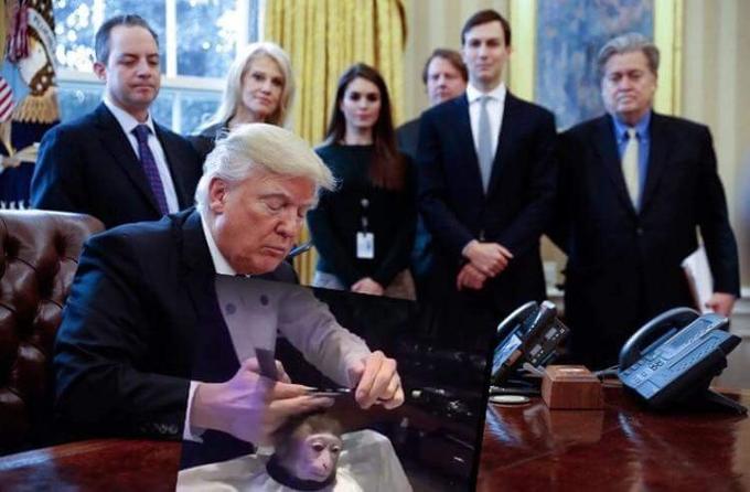 Обезьяна в парикмахерской, Monkey Haircut, обезьяна в парикмахерской мем, мем обезьяна в парикмахерской, обезьяна в парикмахерской видео. видео обезьяна в парикмахерской, обезьяна в салоне мем, мем обезьяна в салоне, обезьяна в салоне видео, видео обезьяна в салоне, обезьяна с прической, обезьяне делают прическу, мартышка в парикмахерской, обезьянка в парикмахерской