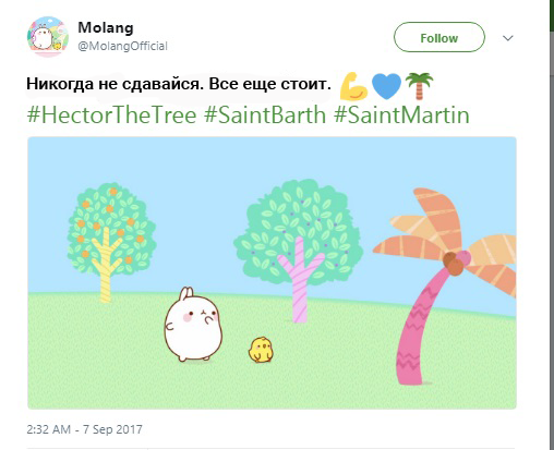 гектор пальма, пальма гектор, мемы про гектора, hector, hector the tree, hectorthetree, save hector, savehector